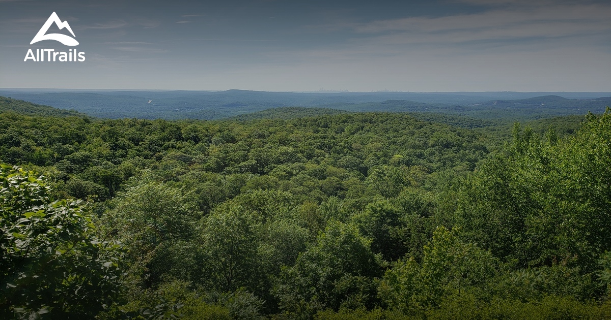 Best Trails in Norvin Green State Forest - New Jersey | AllTrails