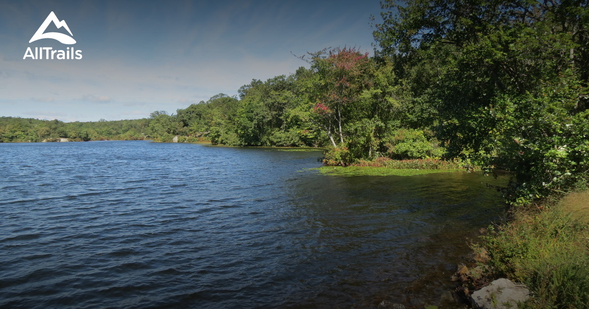 Best Trails in Ramapo Mountain State Forest - New Jersey ...