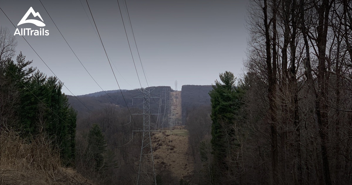 Best dog friendly trails in Voorhees - Parks Us New Jersey Voorhees State Park 10113358 20210621080042000000000 1200x630 3 41624273250 