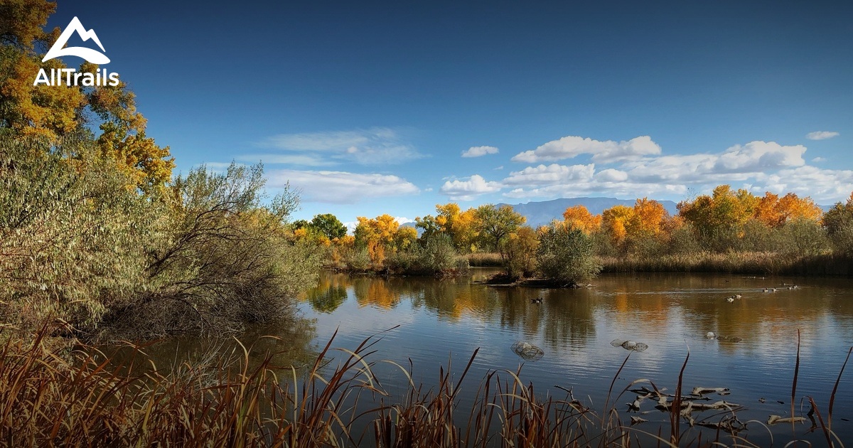 A Nature Lover's Paradise: Discover the Magic of the Rio Grande Nature Center State Park