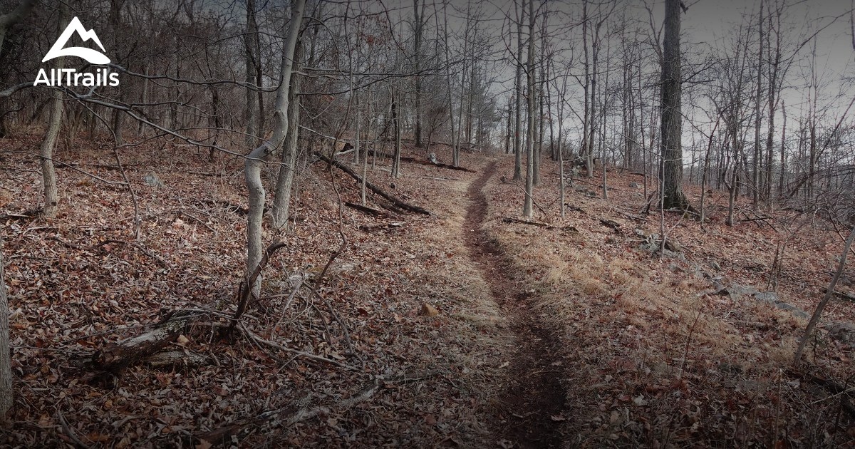 Best Trails in Blauvelt State Park New York AllTrails