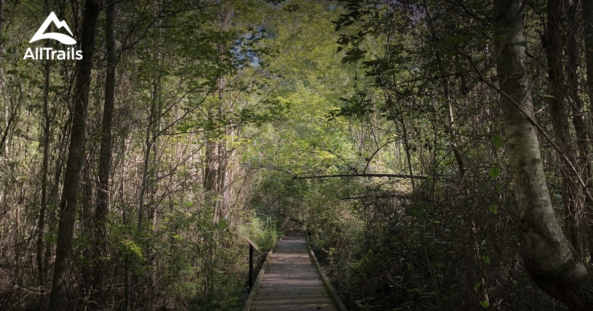 Best Trails in Dismal Swamp State Park - North Carolina | AllTrails