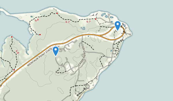 Best Trails in Camp Hero State Park