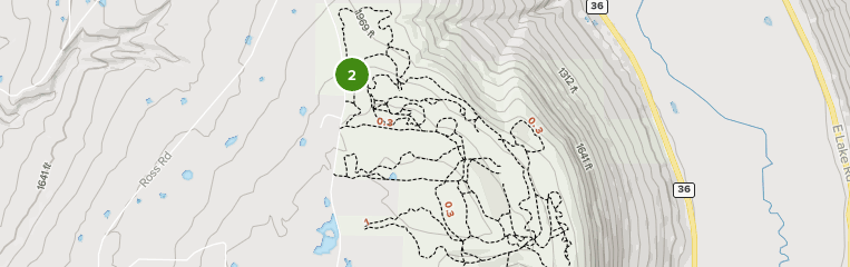 harriet hollister spencer state park