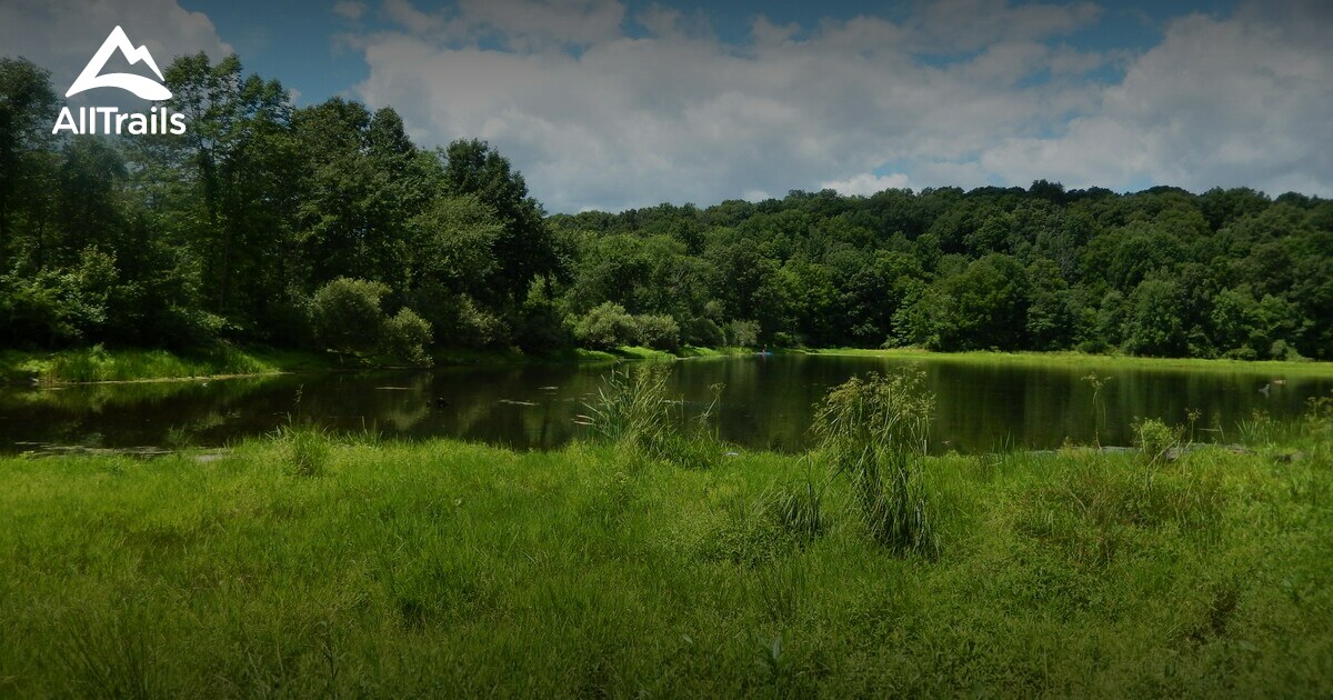 Best hikes and trails in Highland Lakes State Park | AllTrails