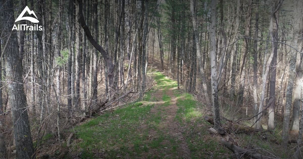 Best Trails in Burr Oak State Park - Ohio | AllTrails