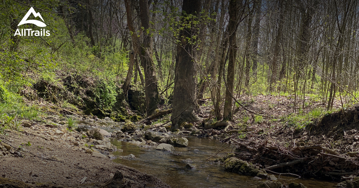 Best hikes and trails in Paint Creek State Park AllTrails