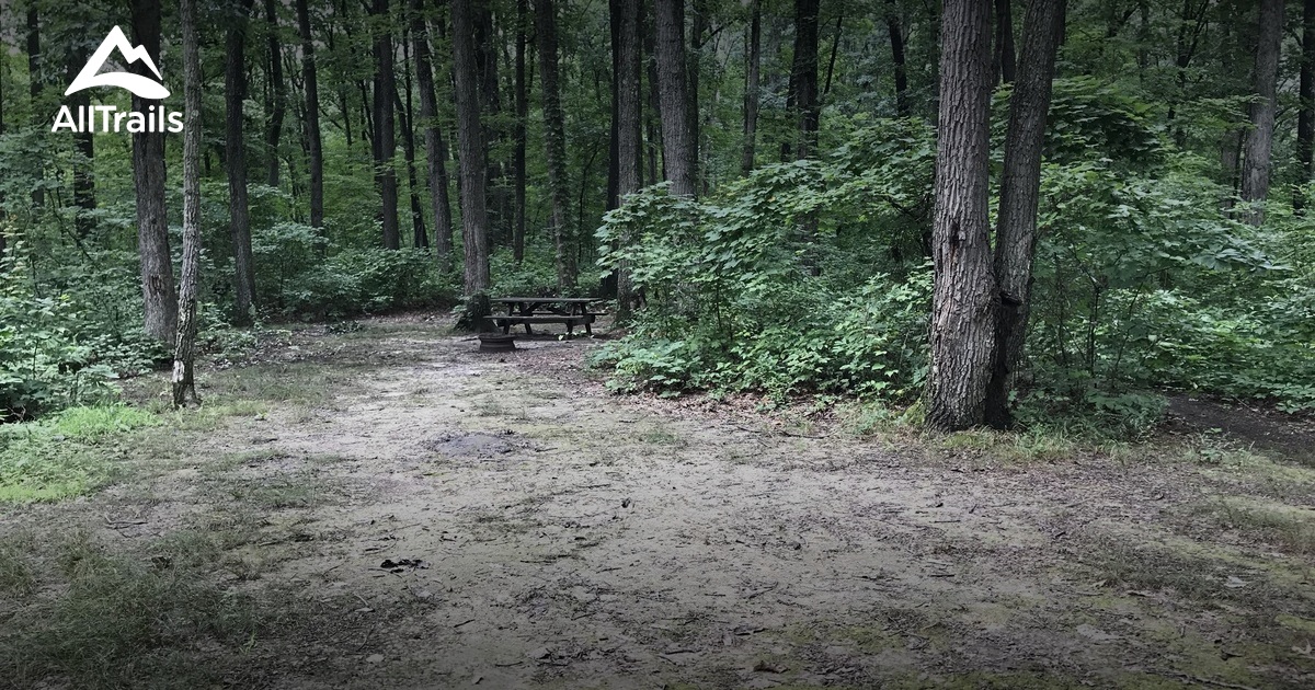 Best Trails in Tar Hollow State Park Ohio AllTrails
