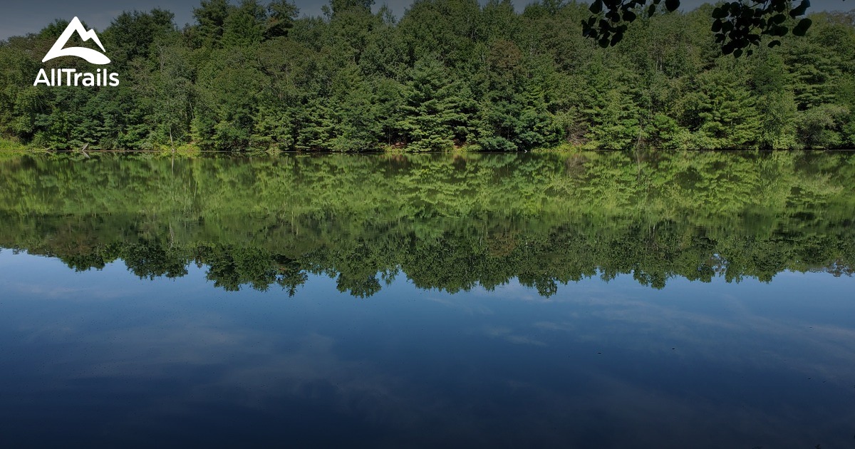 Escape to the Embrace of Nature: Two Rivers State Park, New York