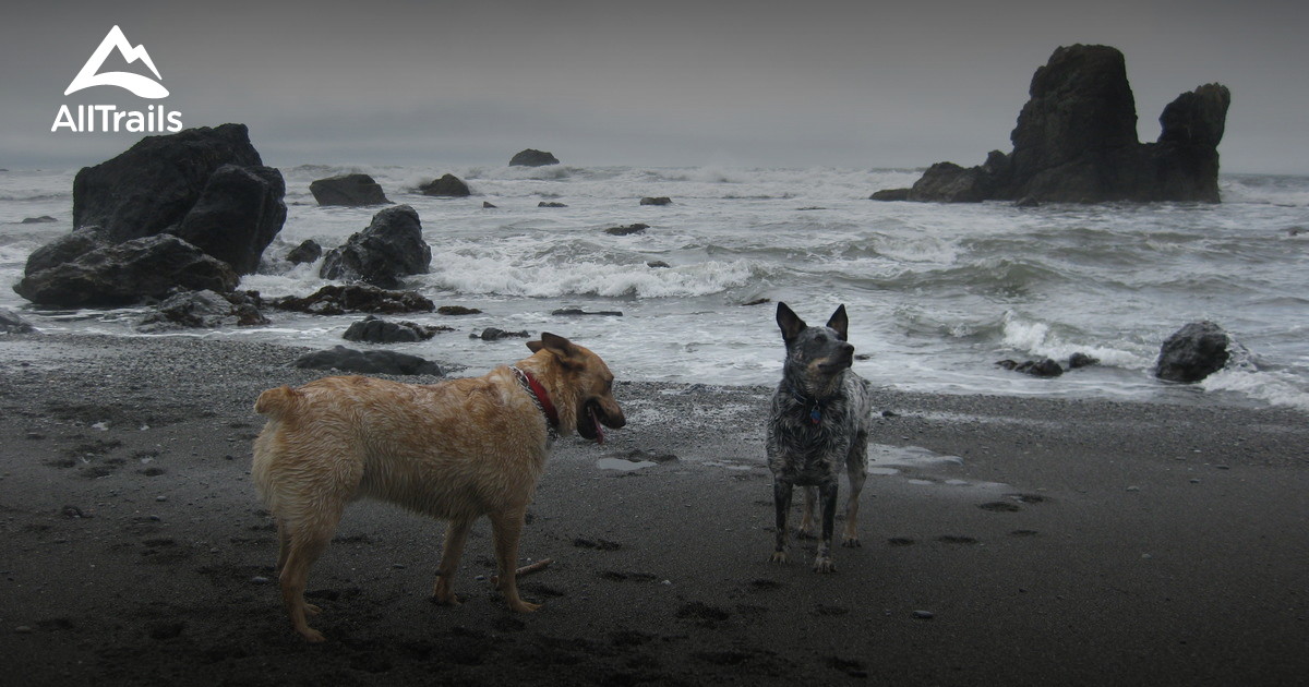 Best hikes and trails in McVay Rock State Recreation Site AllTrails