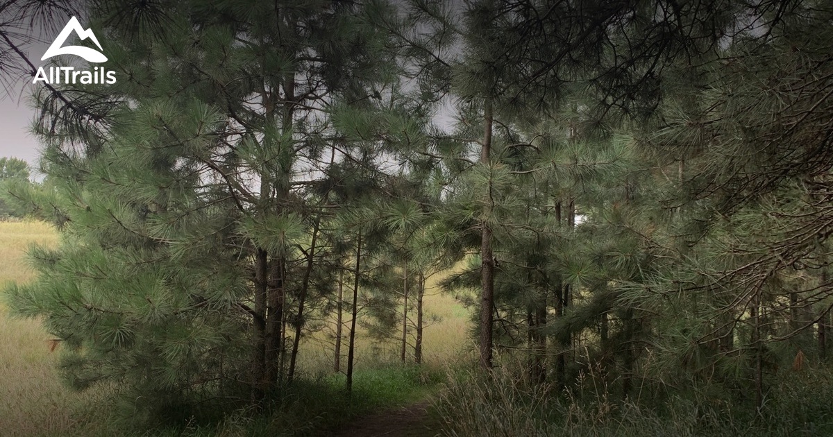 Best hikes and trails in Lake Vermillion Recreation Area AllTrails