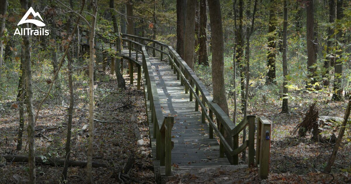 Best paved trails in Pinson Mounds - Parks Us Tennessee Pinson Mounds State Archaeological Park 10114491 20201217080040000000000 1200x630 3 41608240356 