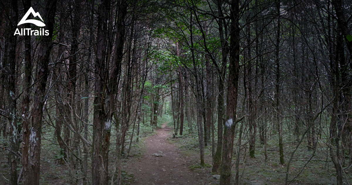 Best Trails in Cedars of Lebanon State Park Tennessee AllTrails