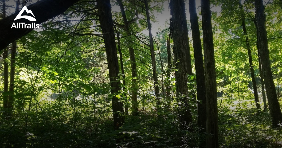 Best Trails in Cedars of Lebanon State Park Tennessee AllTrails