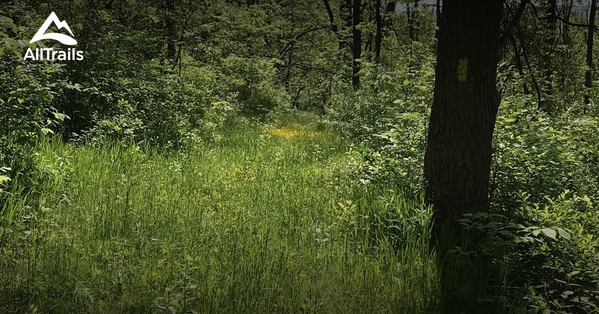 Best Trails in Bald Eagle State Park - Pennsylvania | AllTrails