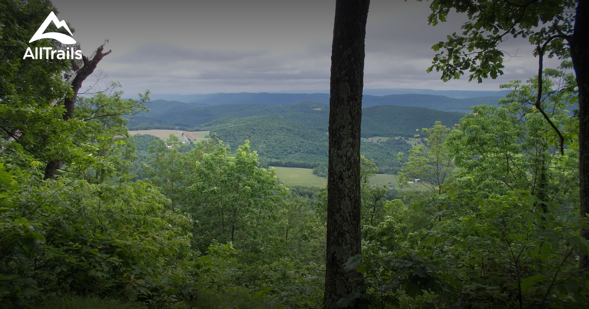 Best Trails in Black Moshannon State Park Pennsylvania AllTrails