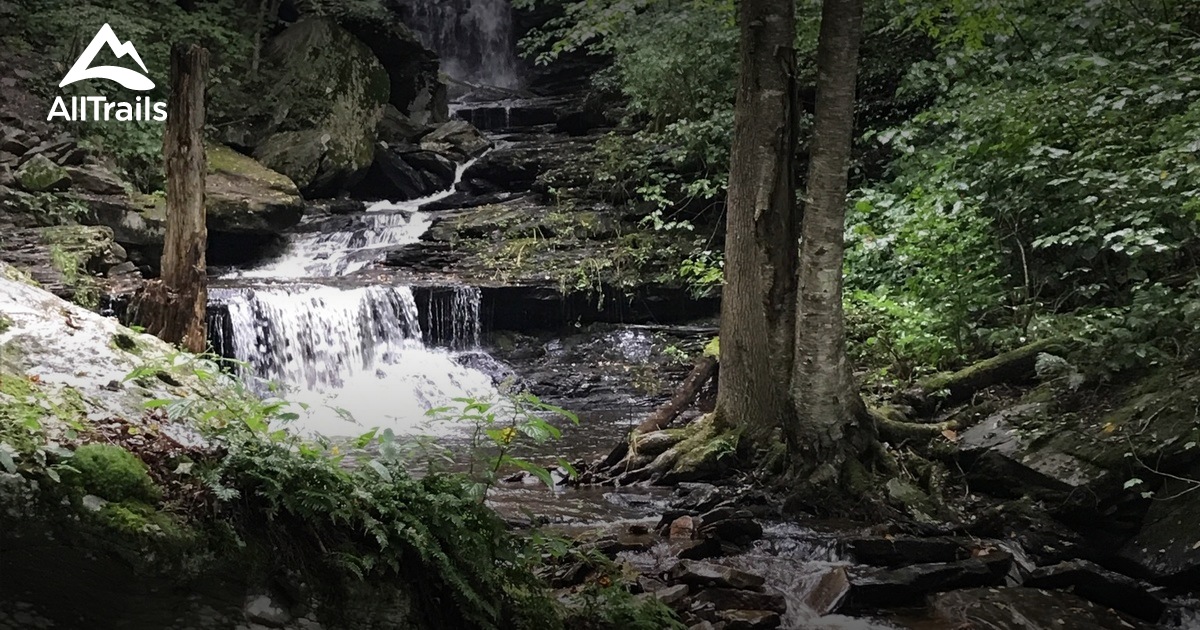 Best Trails in Ricketts Glen State Park - Pennsylvania | AllTrails