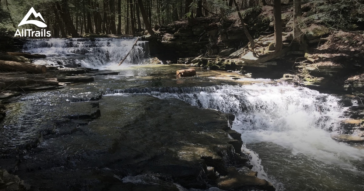 Best Trails In Salt Springs State Park - Pennsylvania 