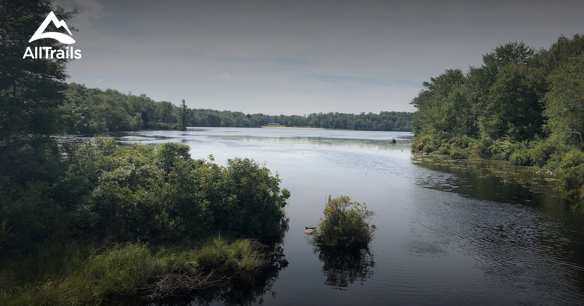 Best Trails in Tobyhanna State Park - Pennsylvania | AllTrails