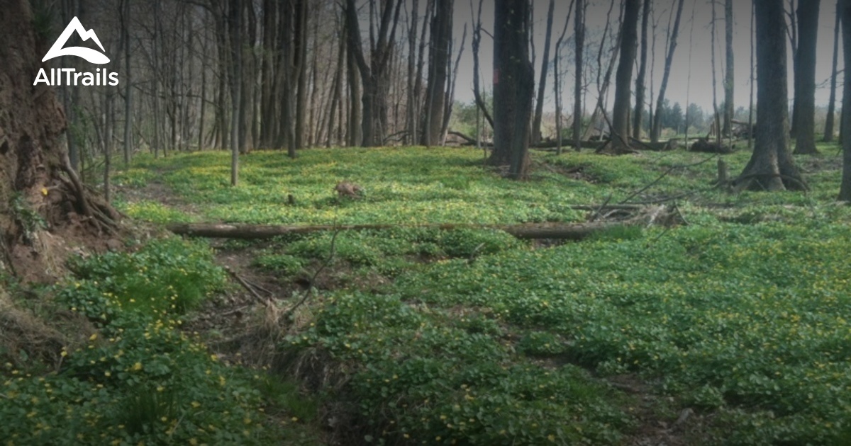 Best Trails in Tyler State Park - Parks Us Tyler State Park 10115085 1200x630 3 41504468288 