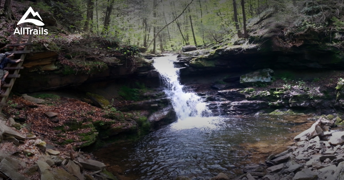 Best Trails in Worlds End State Park - Pennsylvania | 255 Photos & 134