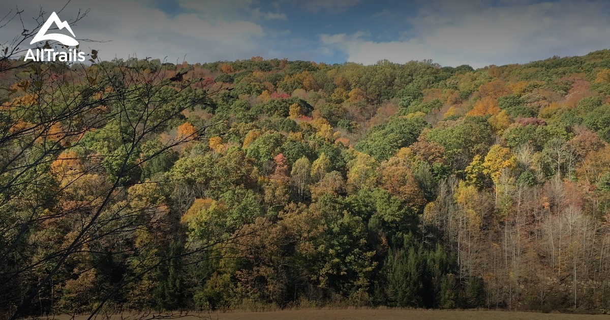 Best trails in Yellow Creek State Park, Pennsylvania AllTrails