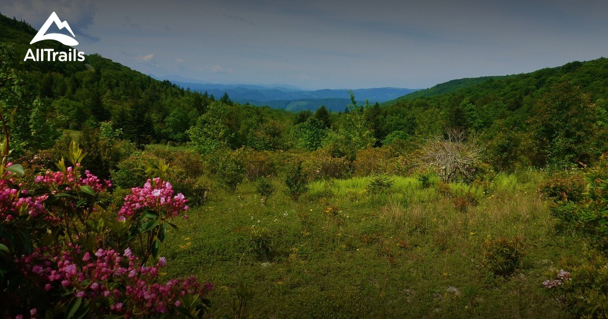 Best Trails In Grayson Highlands State Park Virginia Alltrails 2172