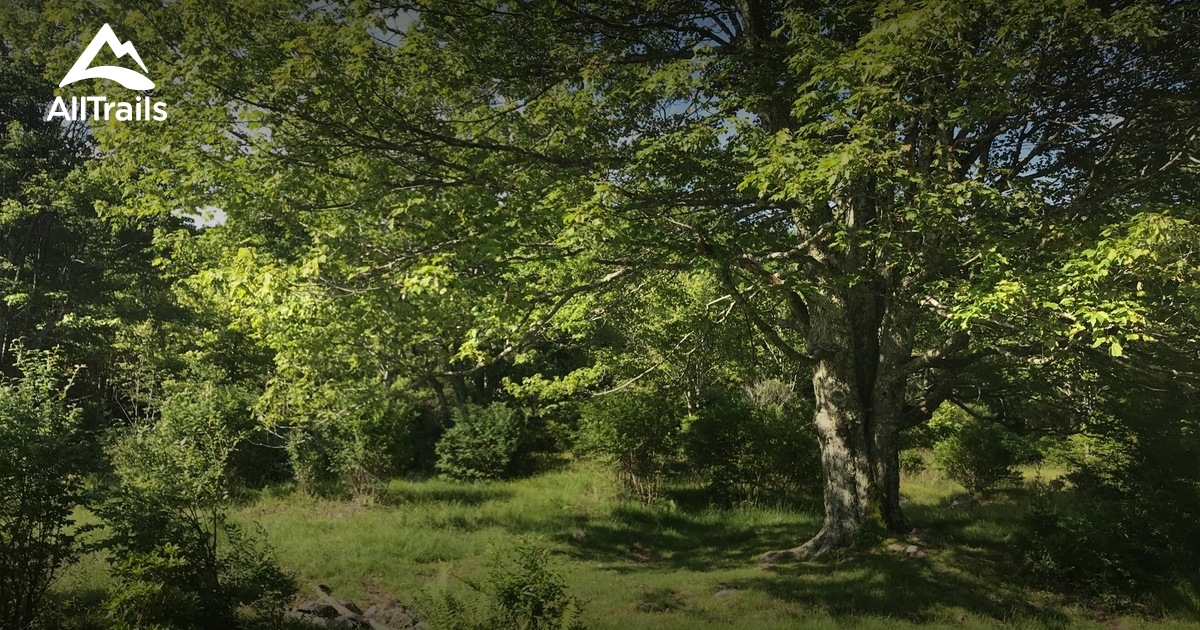 Best Trails in Grayson Highlands State Park Virginia AllTrails