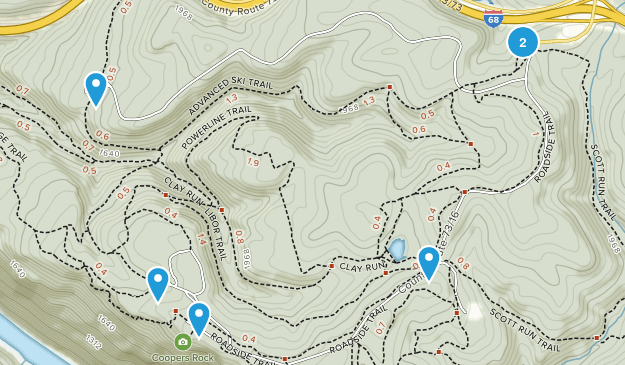 Best Trails in Coopers Rock State Forest - West Virginia AllTrails