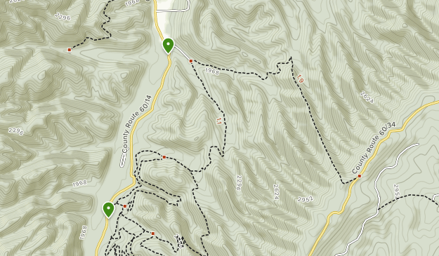Best Trails in Greenbrier State Forest - West Virginia | AllTrails