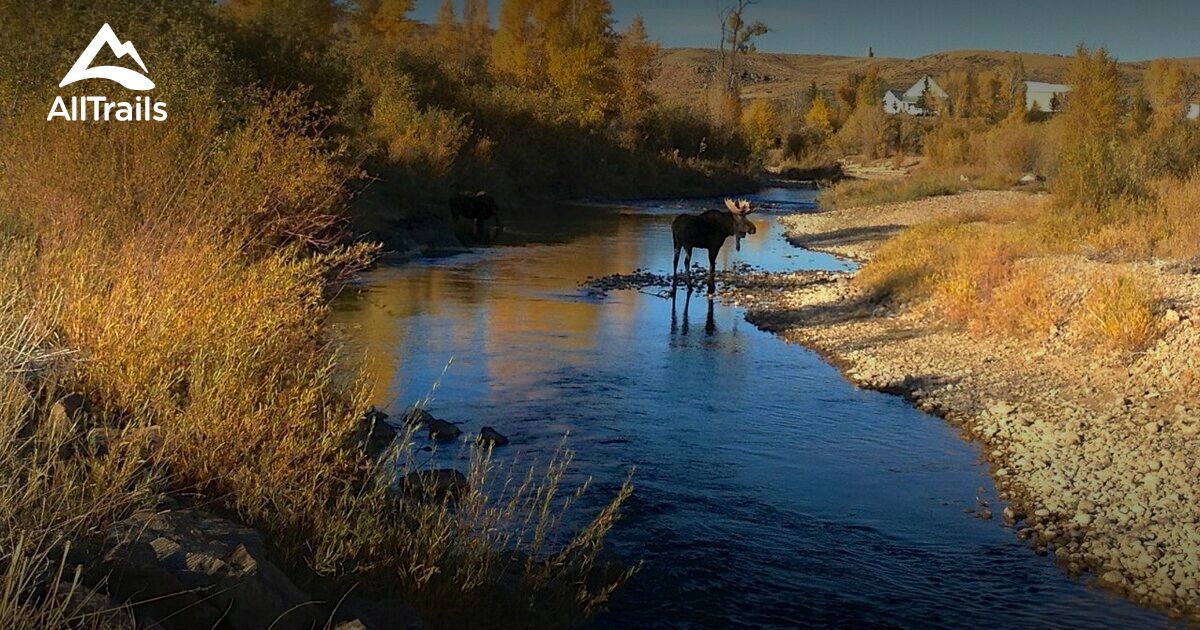 Die Besten Routen mit Aussicht in Bear River State Park | AllTrails