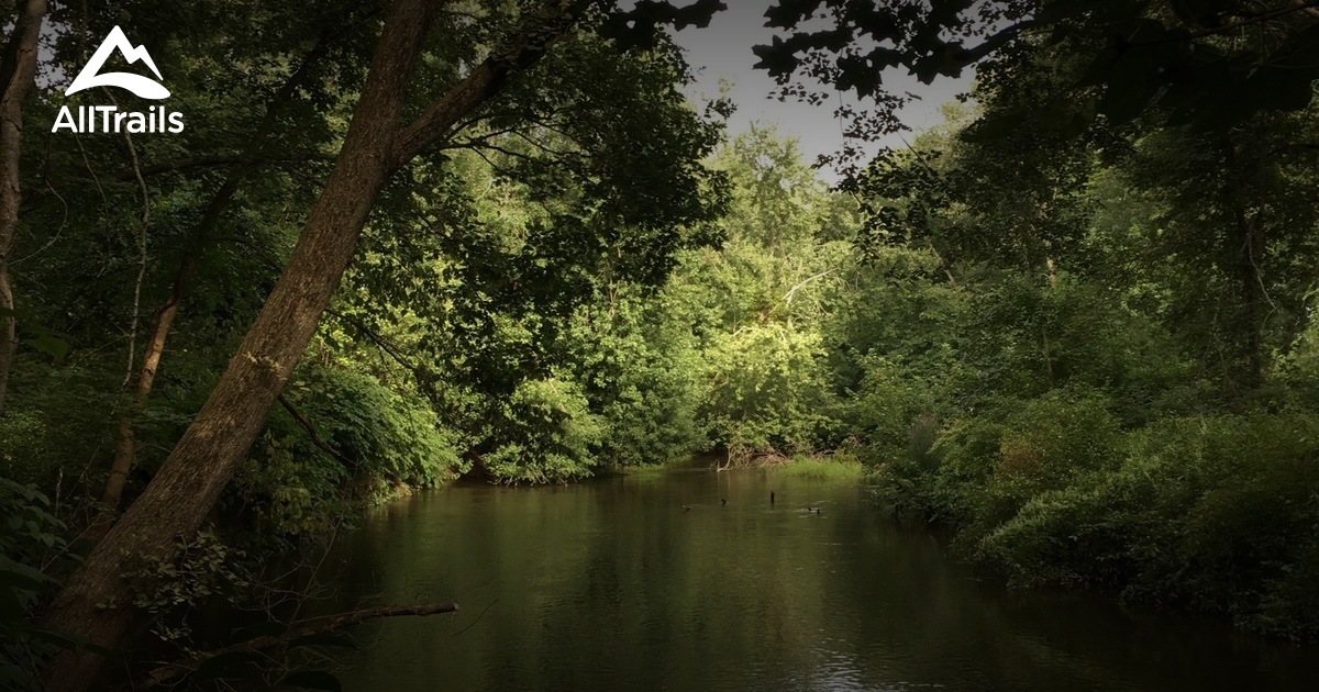 Where the Wild Things Are: A Journey to the Quinnipiac River Marsh