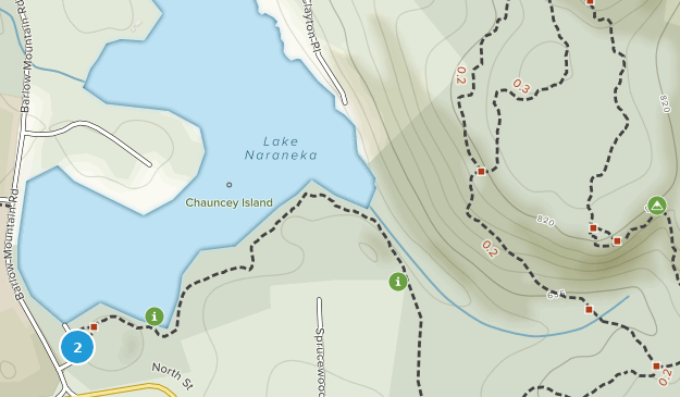 Best Trails in Seth Low Pierrepont State Park Reserve Connecticut