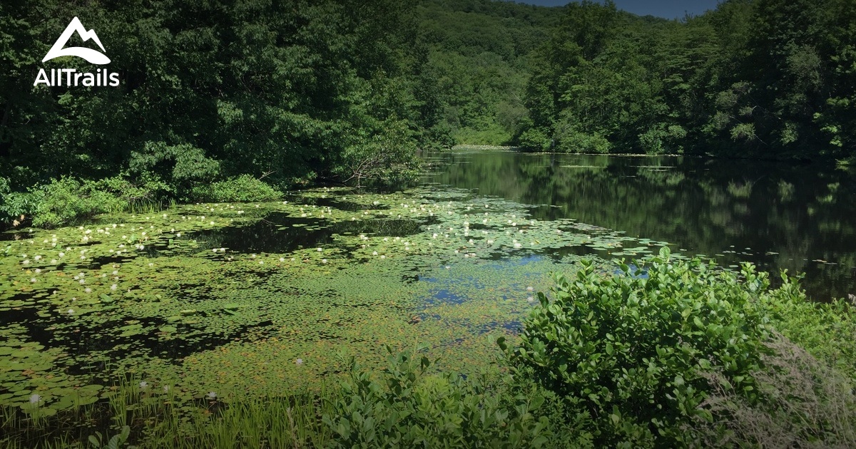 Rocky Ridge Stat 10 Best hikes and trails in West Rock Ridge State Park | AllTrails