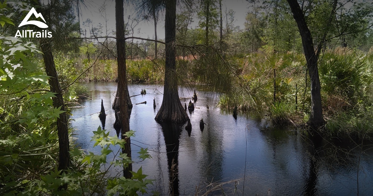 Best Trails In Big Shoals State Park - Florida | AllTrails