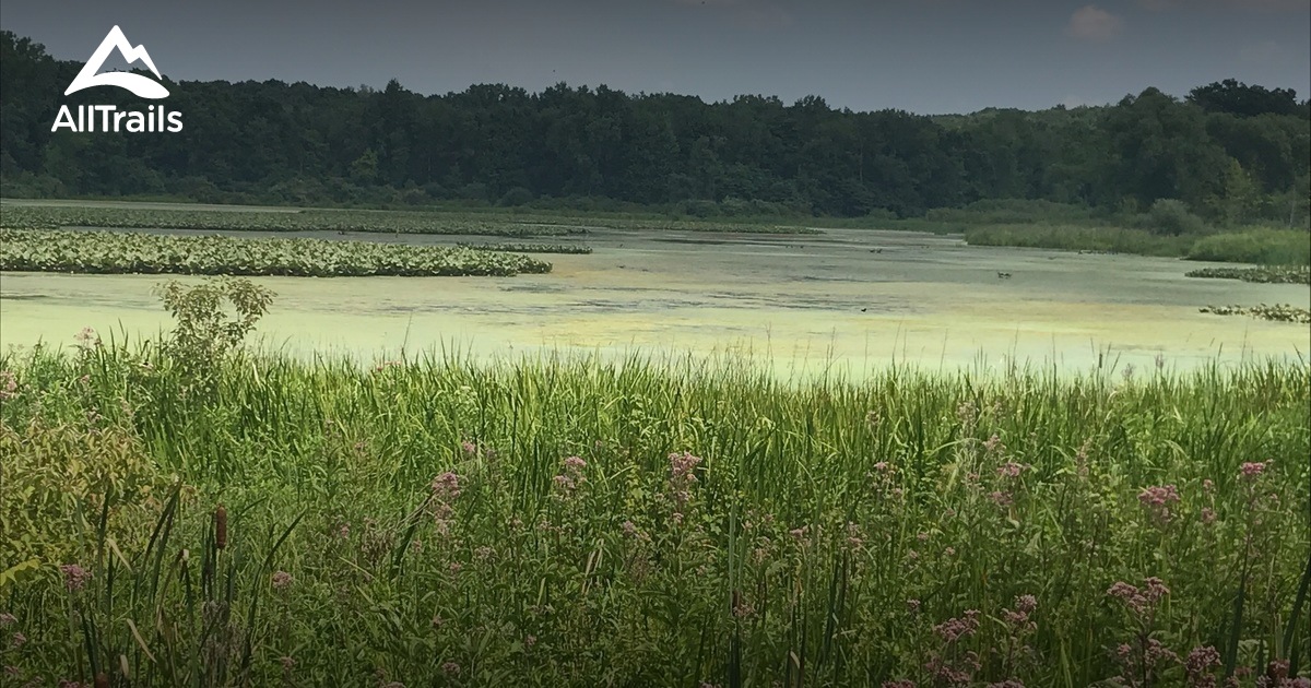 Best Trails in Potato Creek State Park Indiana AllTrails