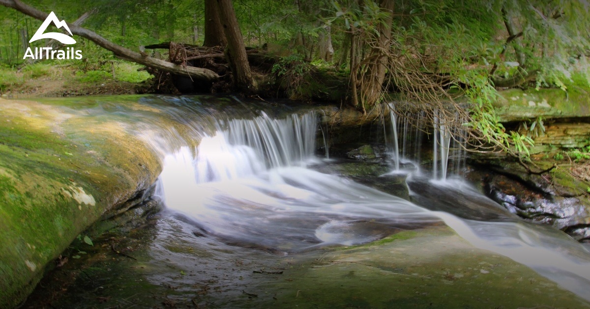 Best Trails in Grayson Lake State Park Kentucky AllTrails