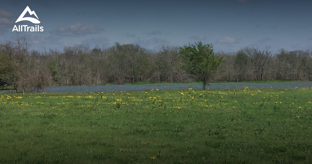 Best easy trails in Lake Somerville State Park Nails Creek Unit