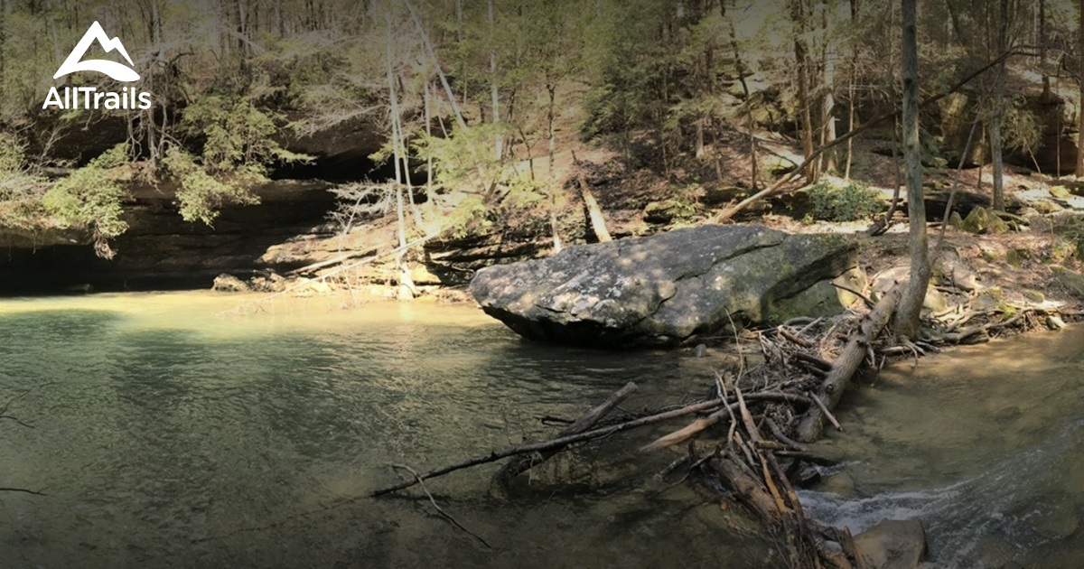 Best Trails In William B Bankhead National Forest - Alabama | AllTrails