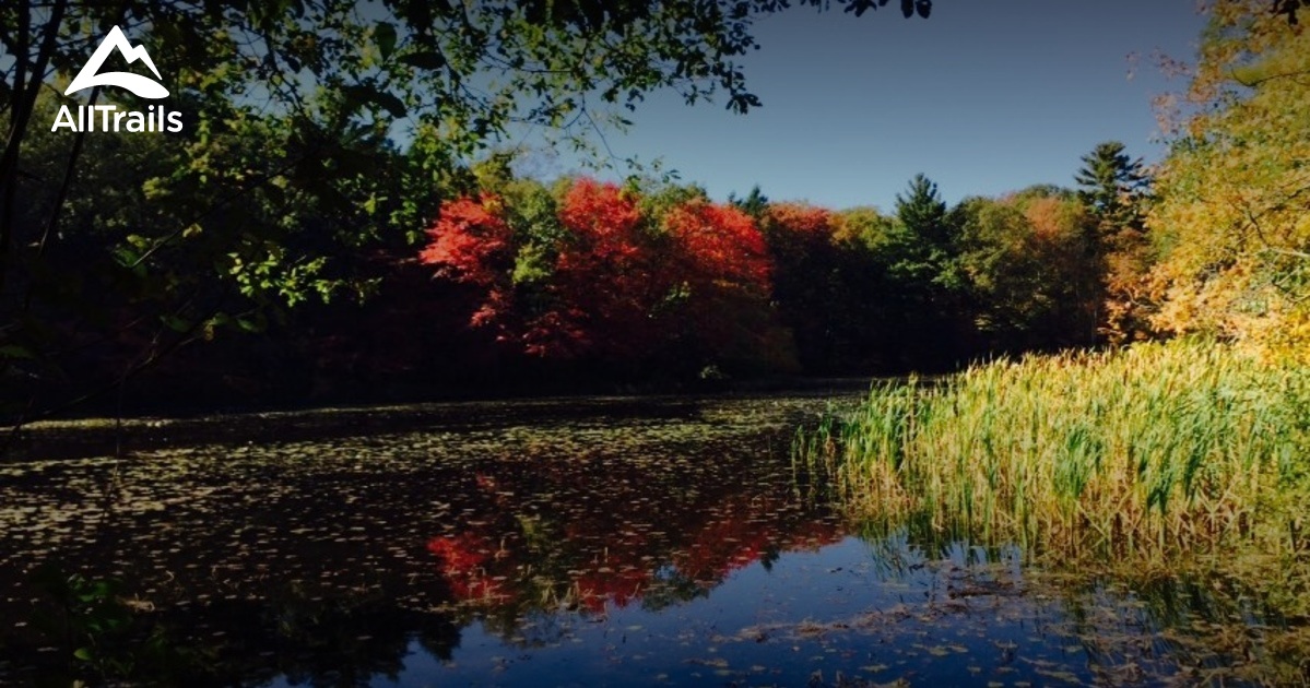 Best Trails in Blue Hills Reservation - Parks Us Massachusetts Blue Hills Reservation 10116942 20171110094034 1200x630 3 41510652883
