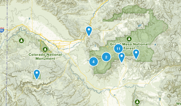 Best Trails in Grand Mesa National Forest - Colorado | AllTrails