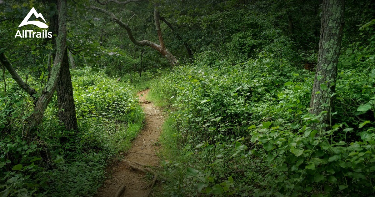 Best Trails in Soldiers Delight Natural Environmental Area Maryland