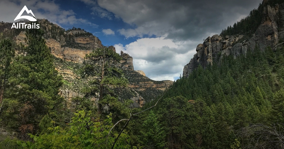 Best Trails in Bighorn National Forest - Wyoming AllTrails