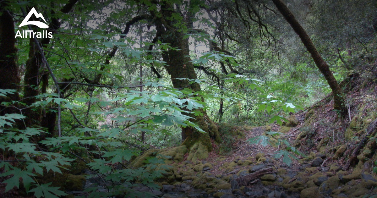 Best Trails in Mendocino National Forest California AllTrails