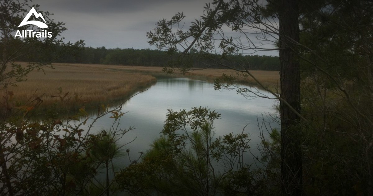 Best Trails in Francis Marion National Forest South Carolina AllTrails