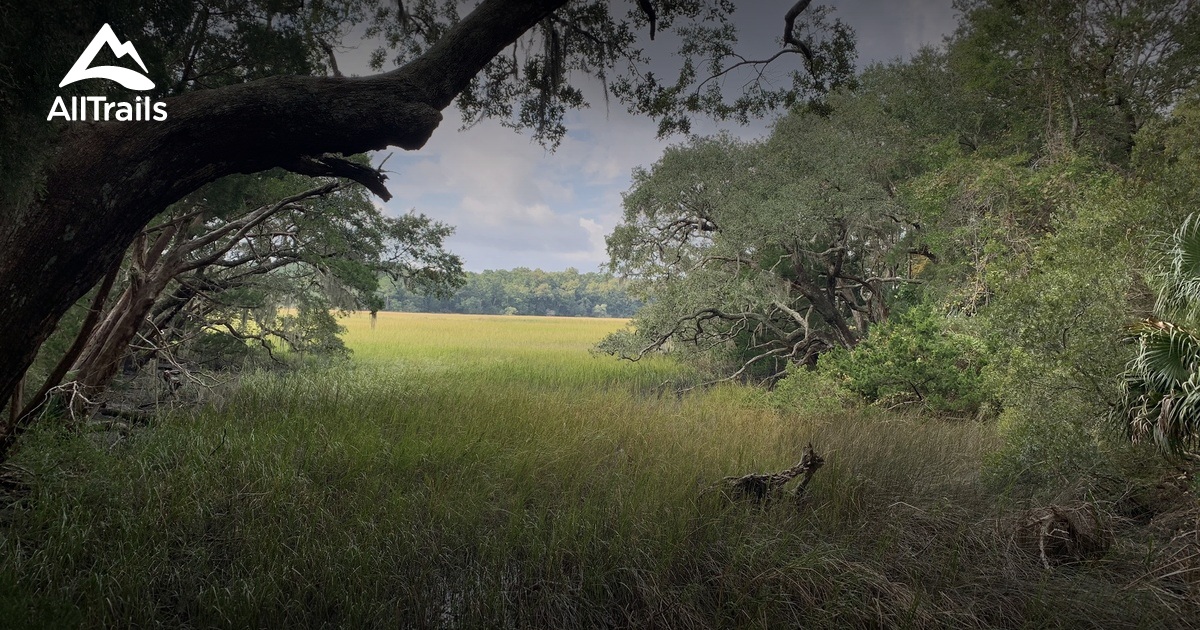 Best Hikes And Trails In Francis Marion National Forest Alltrails