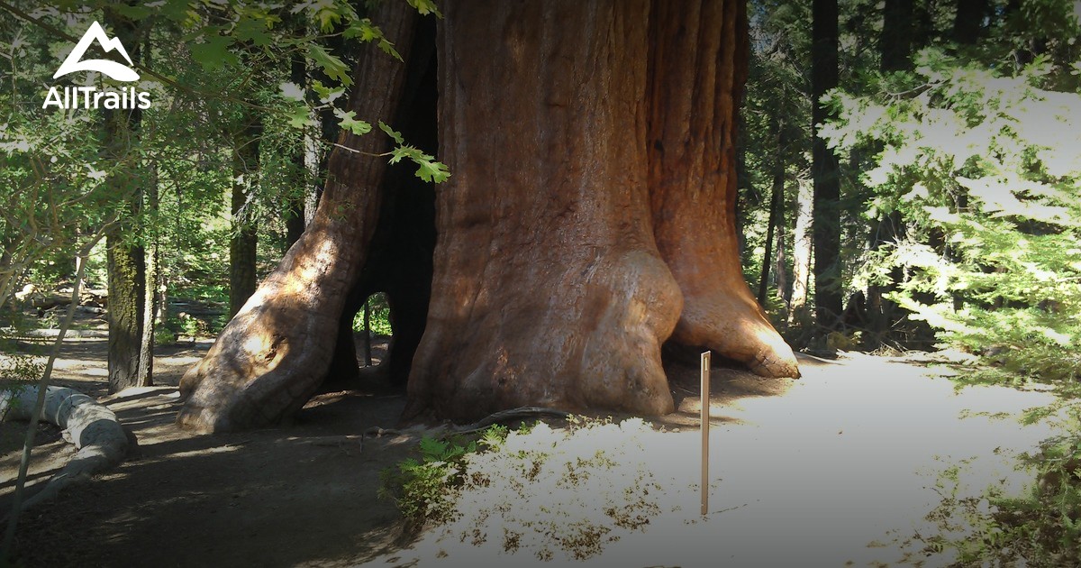 Best Trails in Sequoia National Forest - California | AllTrails