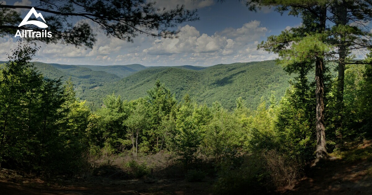 Best hikes and trails in Chester Blandford State Forest AllTrails