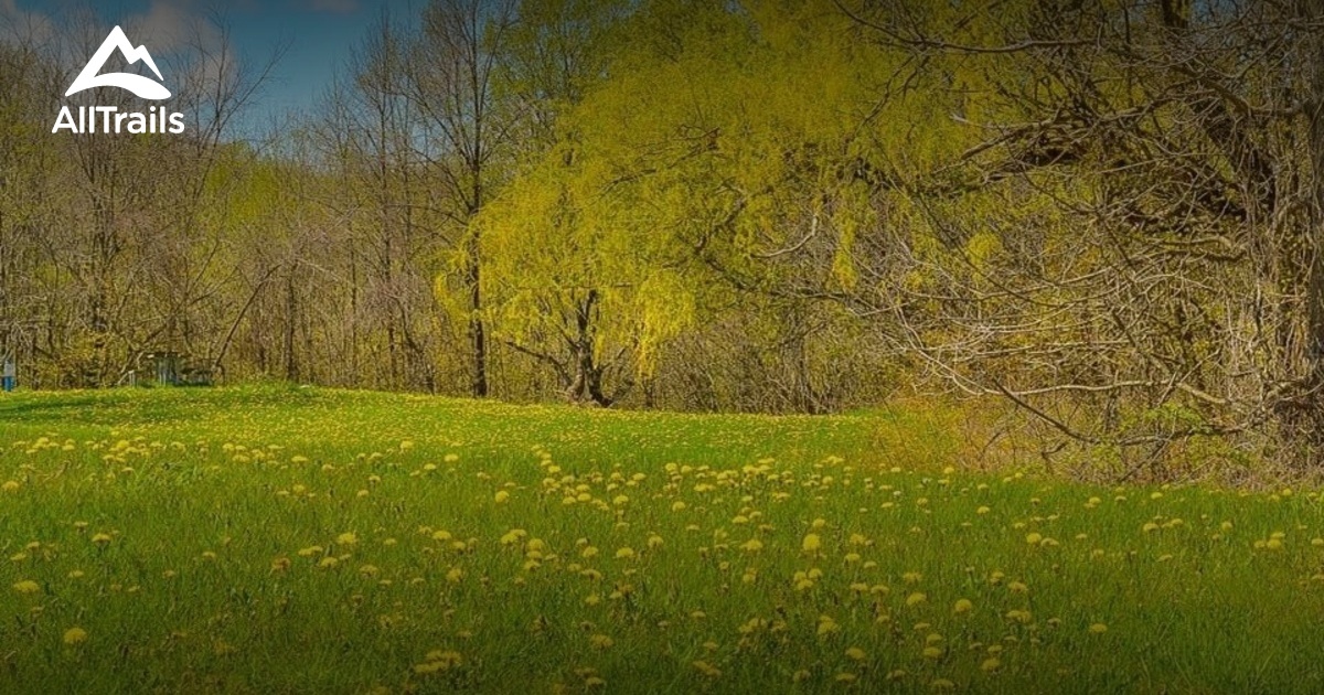 Best hikes and trails in Glen Haffy Conservation Area | AllTrails