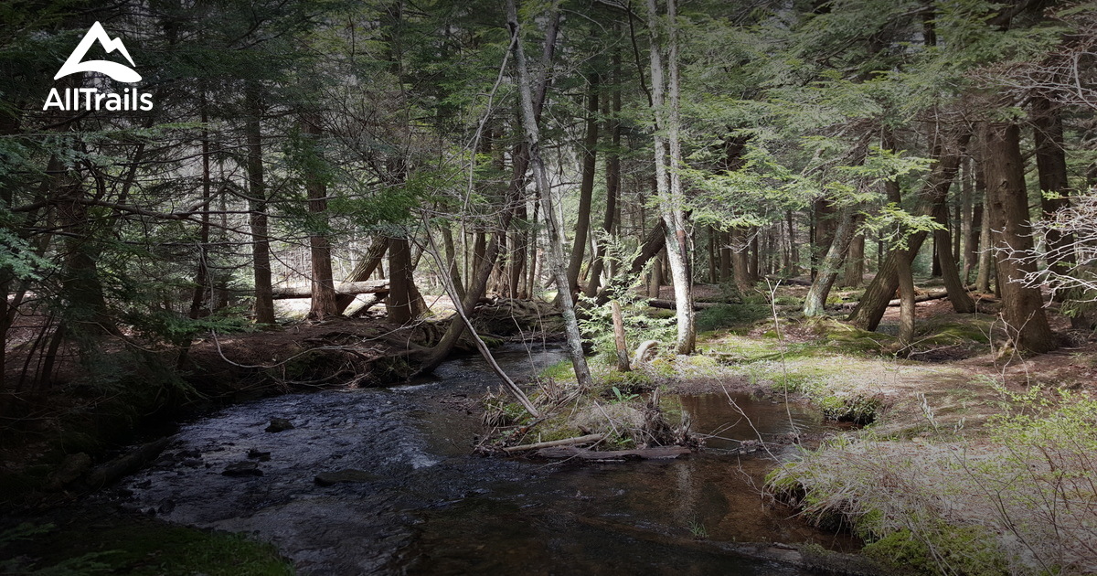 Best Trails in Spruce Swamp Natural Area - Pennsylvania | AllTrails